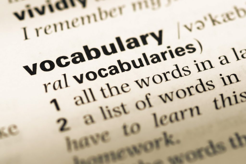 vocabulary in dictionary